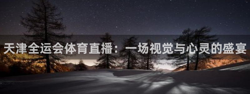 黑白直播足球直播免费观看：天津全运会体育直播：一场视觉与心灵的盛宴