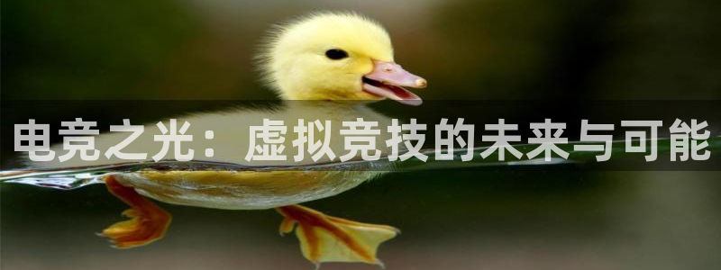 黑白直播nba免费观看篮球app