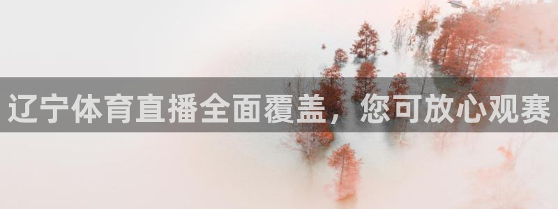 黑白直播改名叫什么了