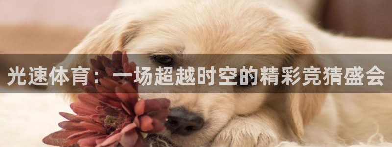 看黑白直播nba