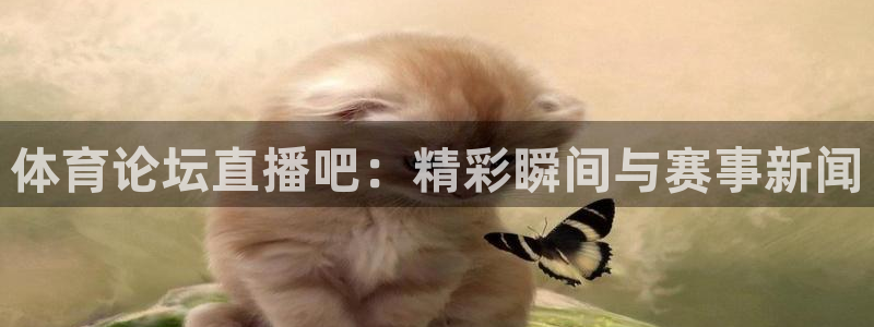 黑白直播app