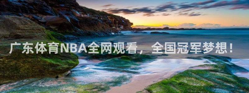 nba黑白直播在线直播：广东体育NBA全网观看，全国冠军梦想！