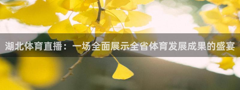 黑白直播篮球比赛：湖北体育直播：一场全面展示全省体育发展成果的盛宴